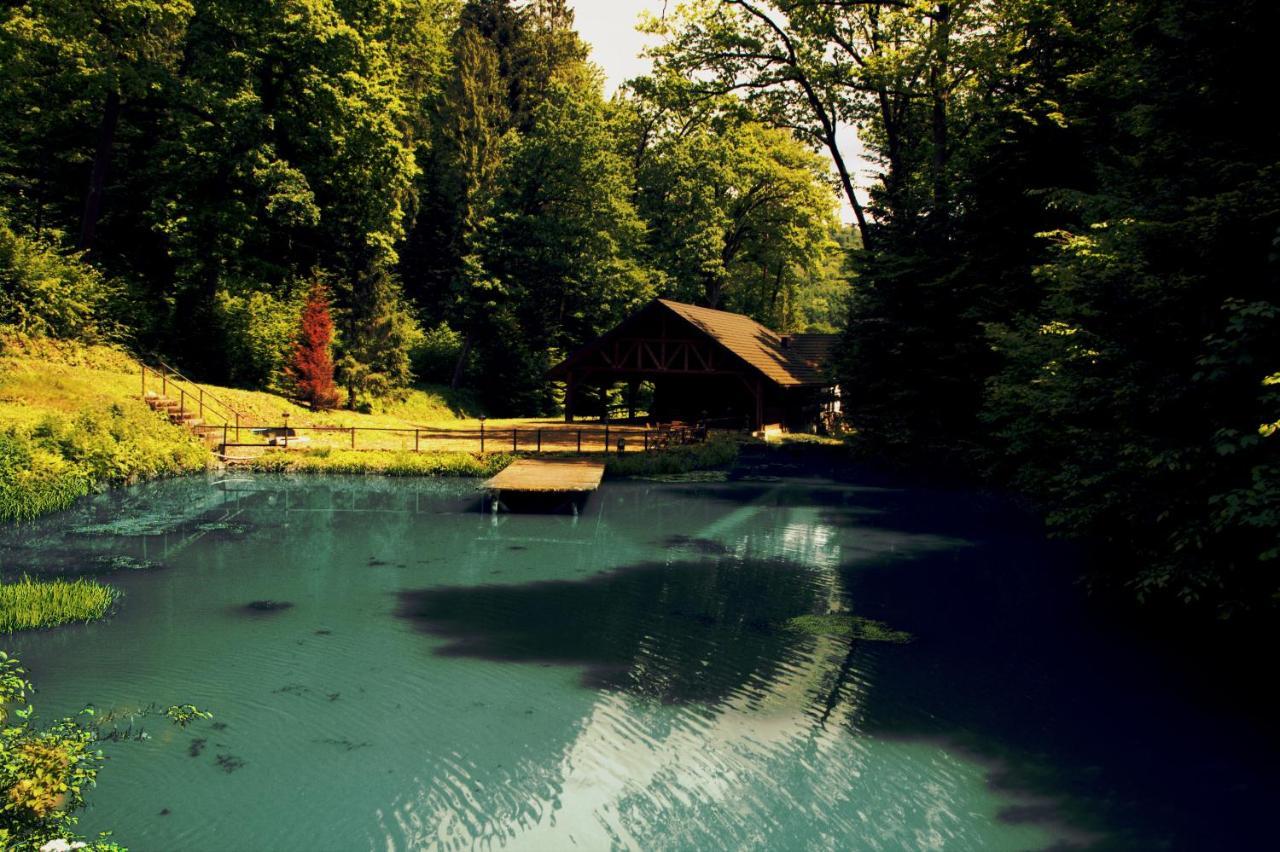Hotel Salamandra Hoczew Luaran gambar